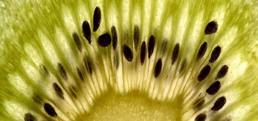 Elevate Your Skincare Routine with Hyaluronic Acid