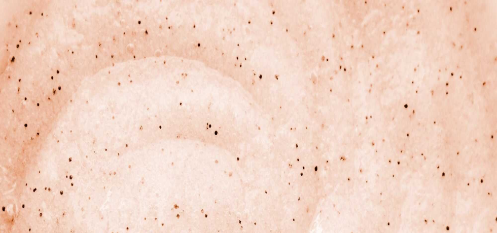Face Scrub 101: Your Ultimate Guide to Glowing Skin