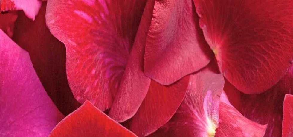 Radiant Skin Secrets: Unveiling the Belle Within