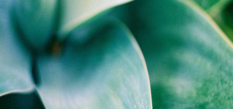 Renew Your Skin: The 5:2 Beauty Break