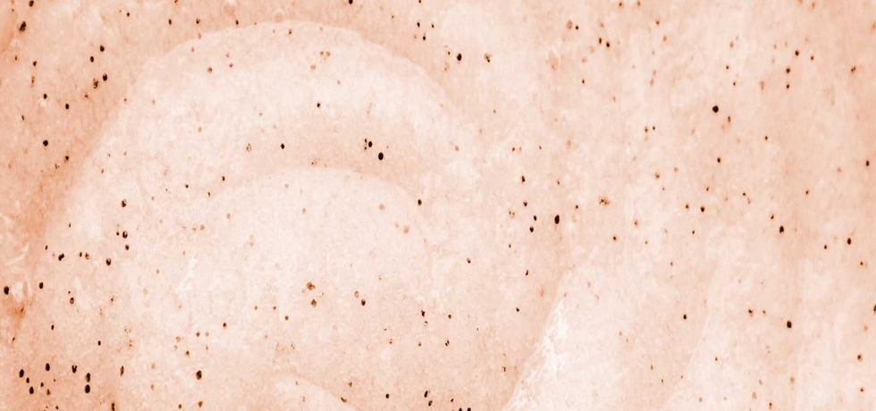 Revitalize Your Skin: A Refreshing Beauty Routine