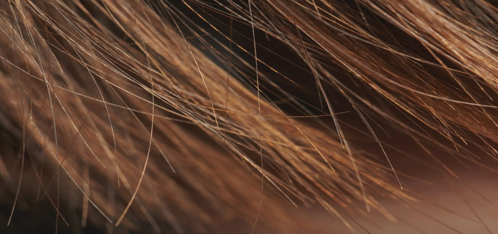 Unlock the Secrets to Nourishing Low Porosity Hair