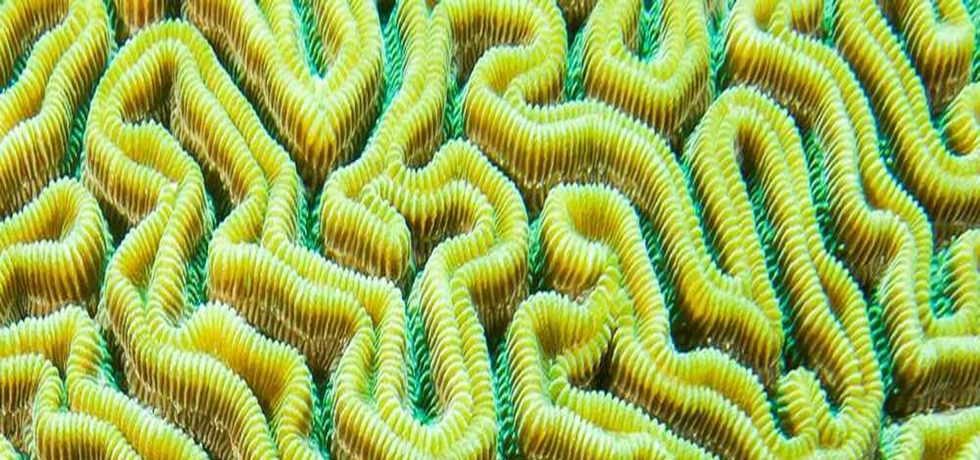 Unlocking the Skin Microbiome’s Secrets