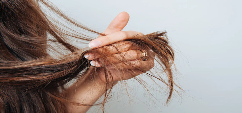 Unveiling the Secrets to Reviving Dry Hair