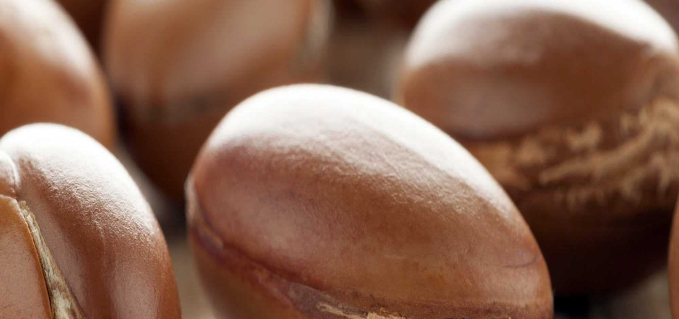 Unveiling the Truth Behind Natural Ingredients