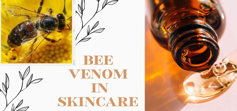 Embracing the Elixir: Unveiling Bee Venom’s Skincare Magic