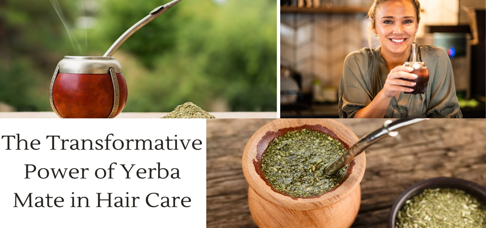 Revitalize Your Hair with Yerba Mate